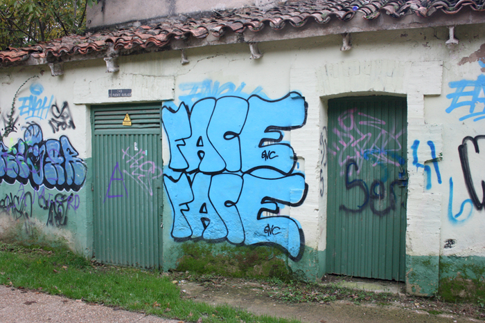 Face