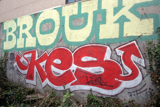 Brouk. Kes.